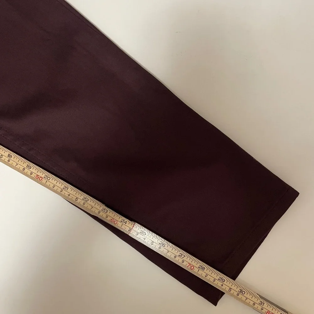 Zara Man Basic Collection Burgundy Slim Five Pocket Pants Mens USA 34 Euro Sleek